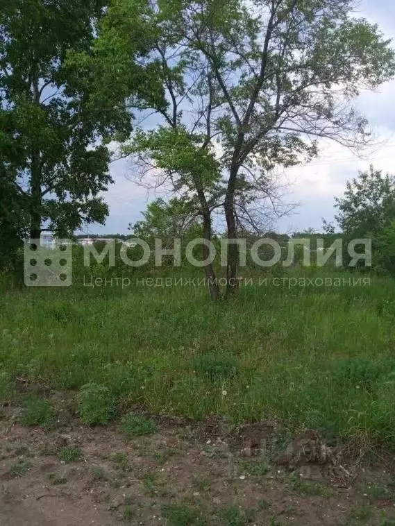 Участок в Амурская область, Серышевский муниципальный округ, с. ... - Фото 1