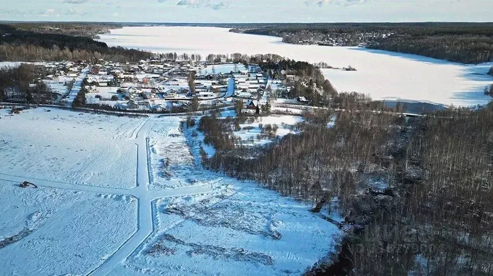Участок в Ленинградская область, Выборгский район, Полянское с/пос, ... - Фото 1