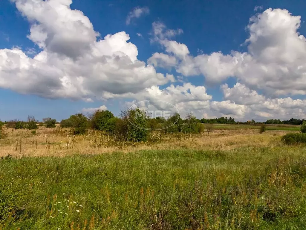 Участок в Калининградская область, Зеленоградский муниципальный округ, ... - Фото 1