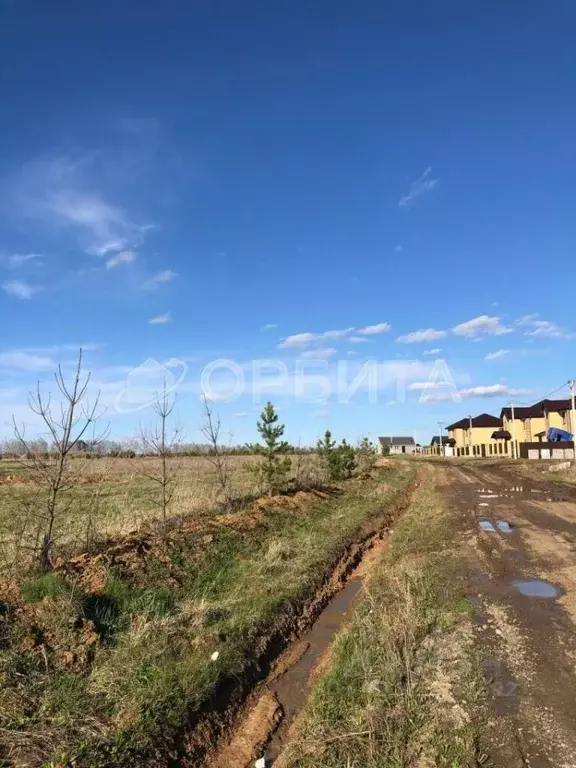 Участок в Тюменская область, Тюменский муниципальный округ, с. ... - Фото 1