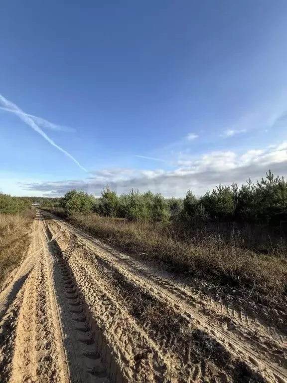 Участок в Владимирская область, Ковровский район, Новосельское с/пос, ... - Фото 1