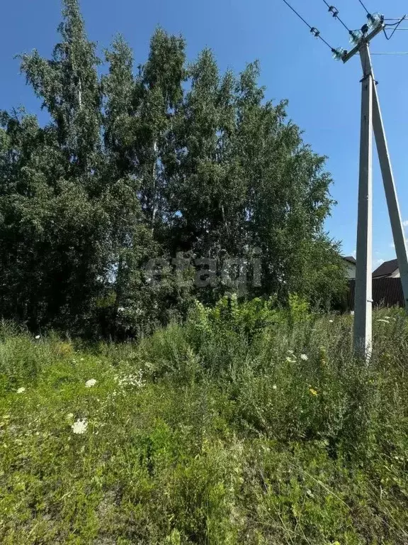Участок в Белгородская область, Старый Оскол Благодатная ул. (15.6 ... - Фото 0