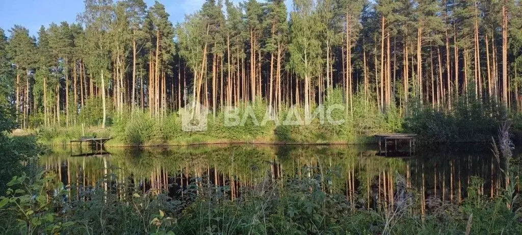 Участок в Ленинградская область, Всеволожский район, Рахьинское ... - Фото 0