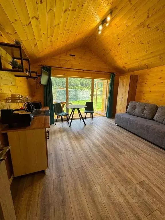 Дом в Алтай, Улаганский район, с. Акташ ул. Садовая, 55 (30 м) - Фото 2