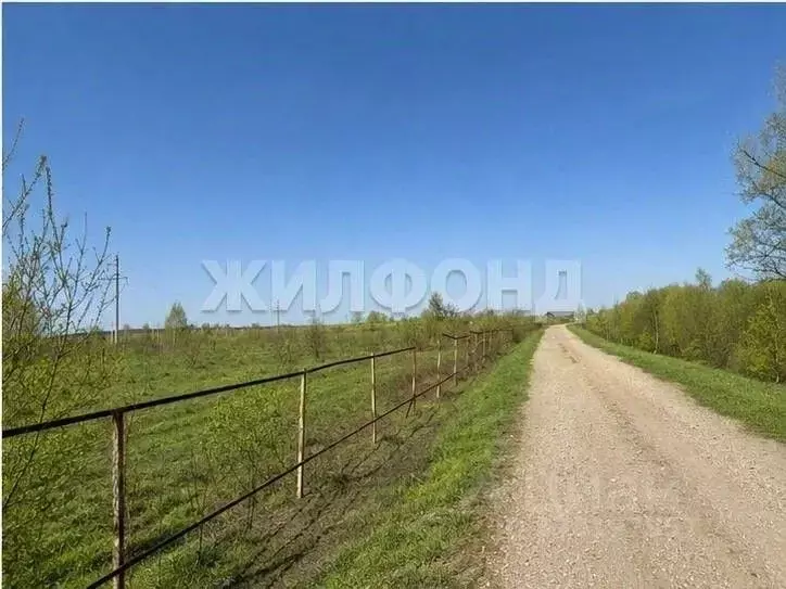 Участок в Новосибирская область, Колывань рп  (6.0 сот.) - Фото 1