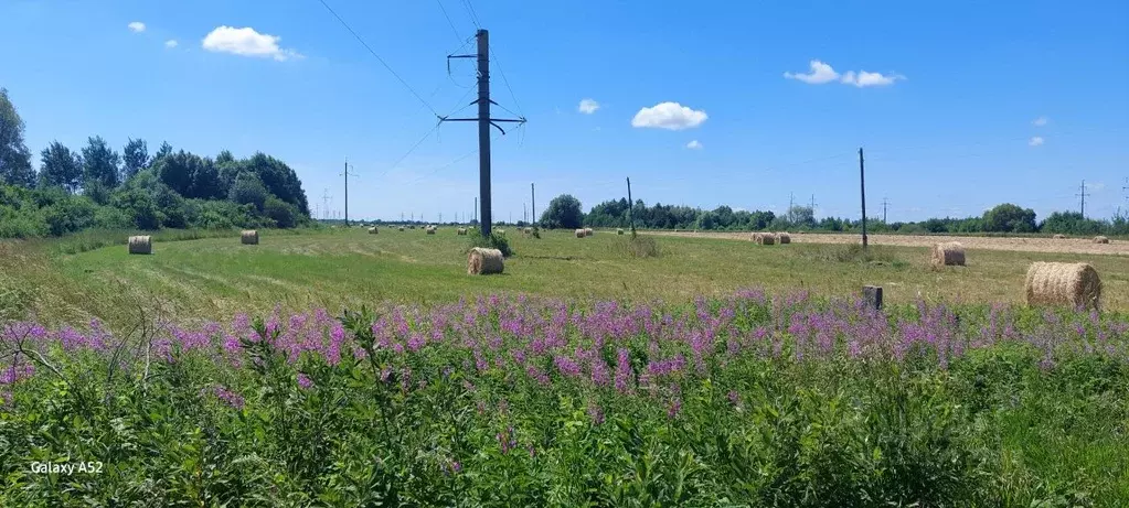 Помещение свободного назначения в Калининградская область, Славский ... - Фото 1