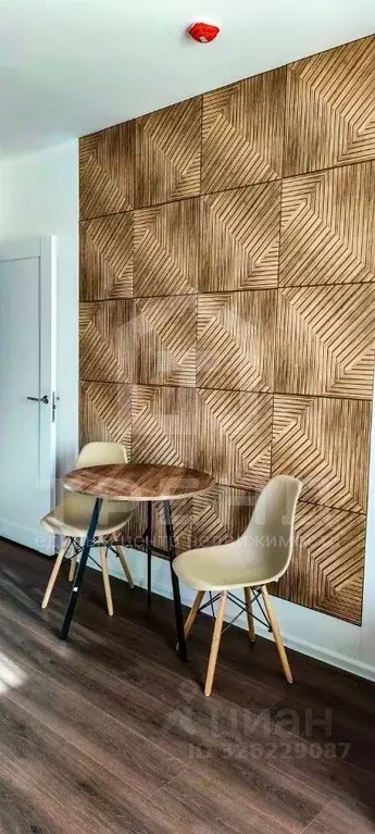 Студия Санкт-Петербург ул. Пейзажная, 24к3 (20.7 м) - Фото 2