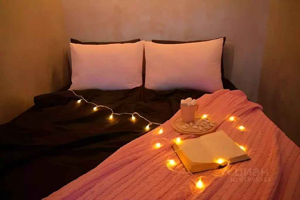 1-к кв. Карелия, Петрозаводск просп. Ленина, 15 (30.0 м) - Фото 1