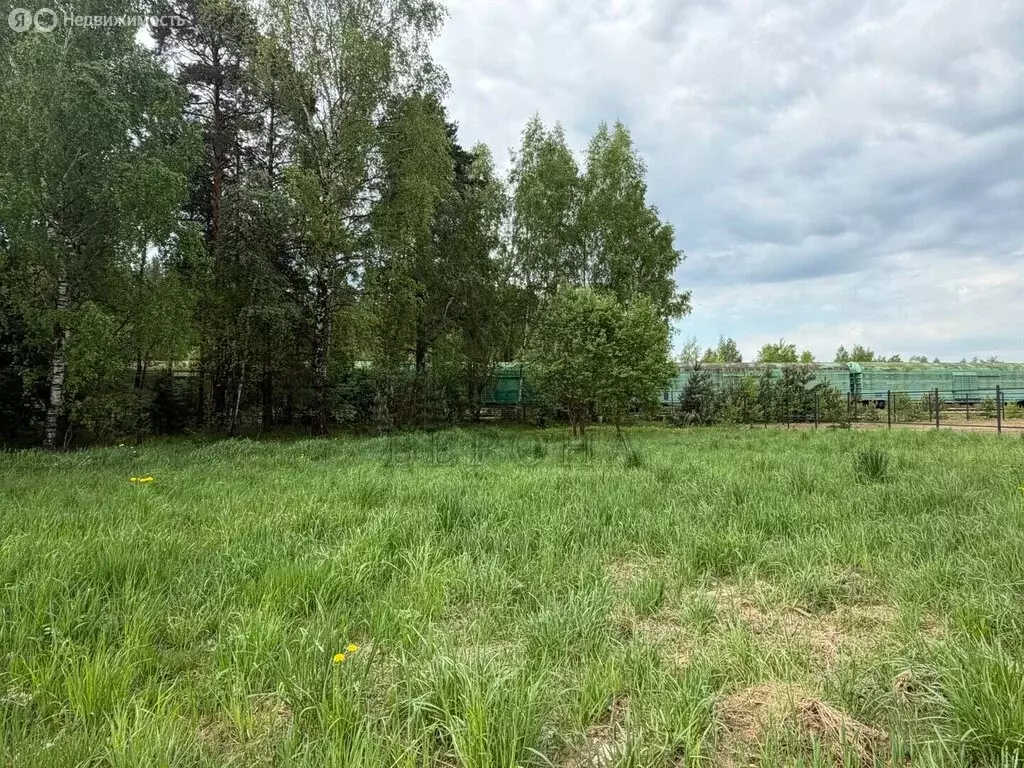 Участок в Богородский городской округ, территория Автомобильная дорога ... - Фото 1