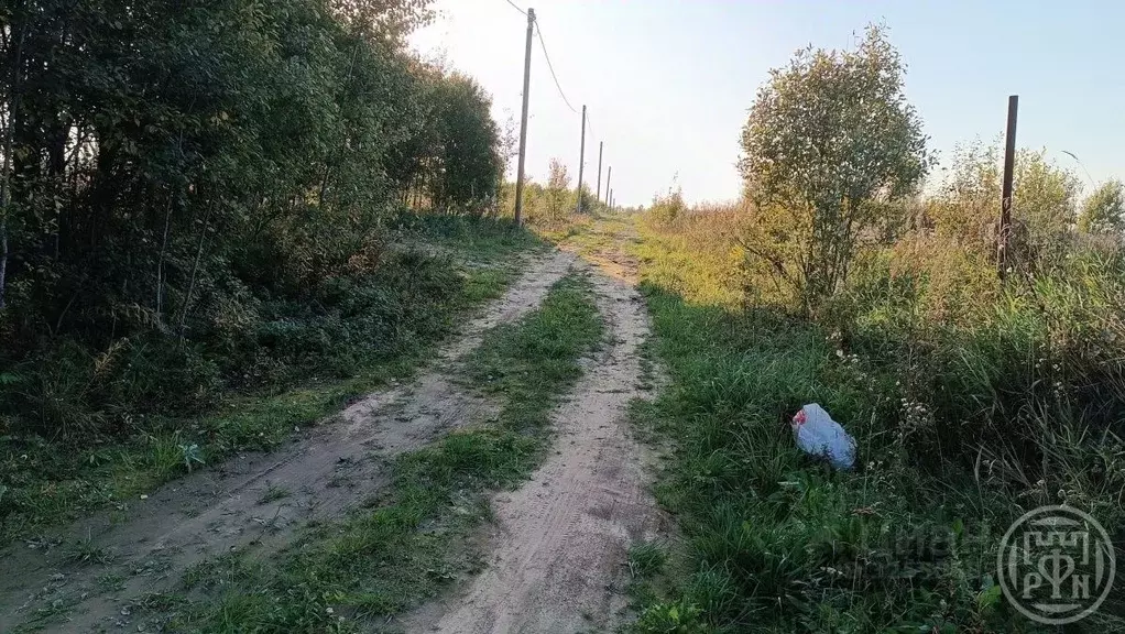 Участок в Ленинградская область, Ломоносовский район, Лопухинское ... - Фото 2