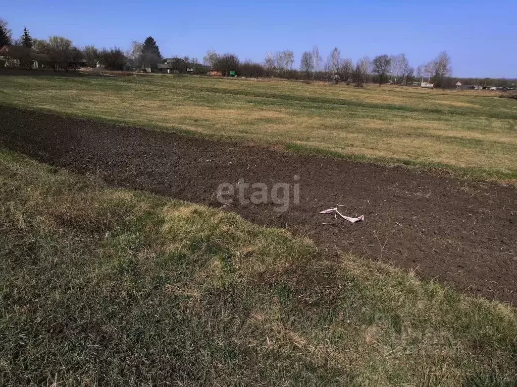 Участок в Белгородская область, Старооскольский городской округ, с. ... - Фото 1