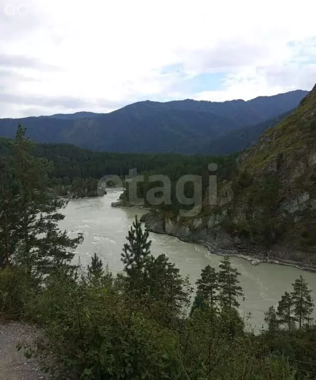 Участок в Чемальский район, село Чемал (500 м) - Фото 1