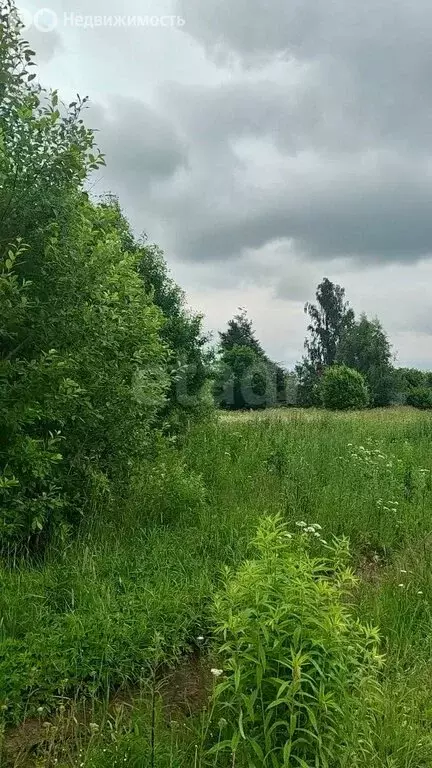 Участок в деревня Куровицы, Вырицкий проспект (15 м) - Фото 2