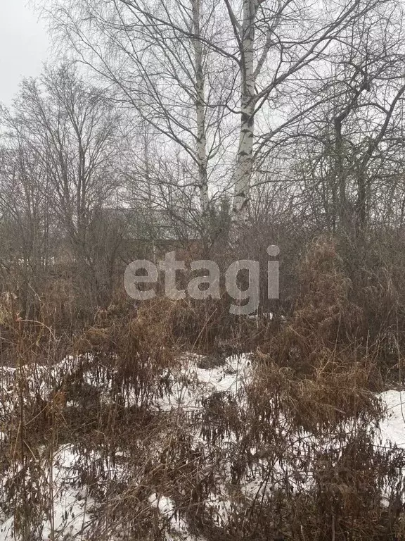 Участок в Вологодская область, Облепиха садоводческое товарищество  ... - Фото 0