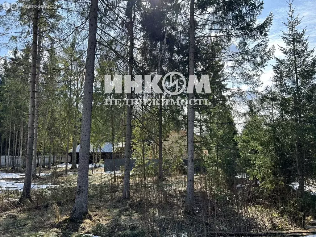 Участок в Московская область, городской округ Пушкинский, деревня ... - Фото 1