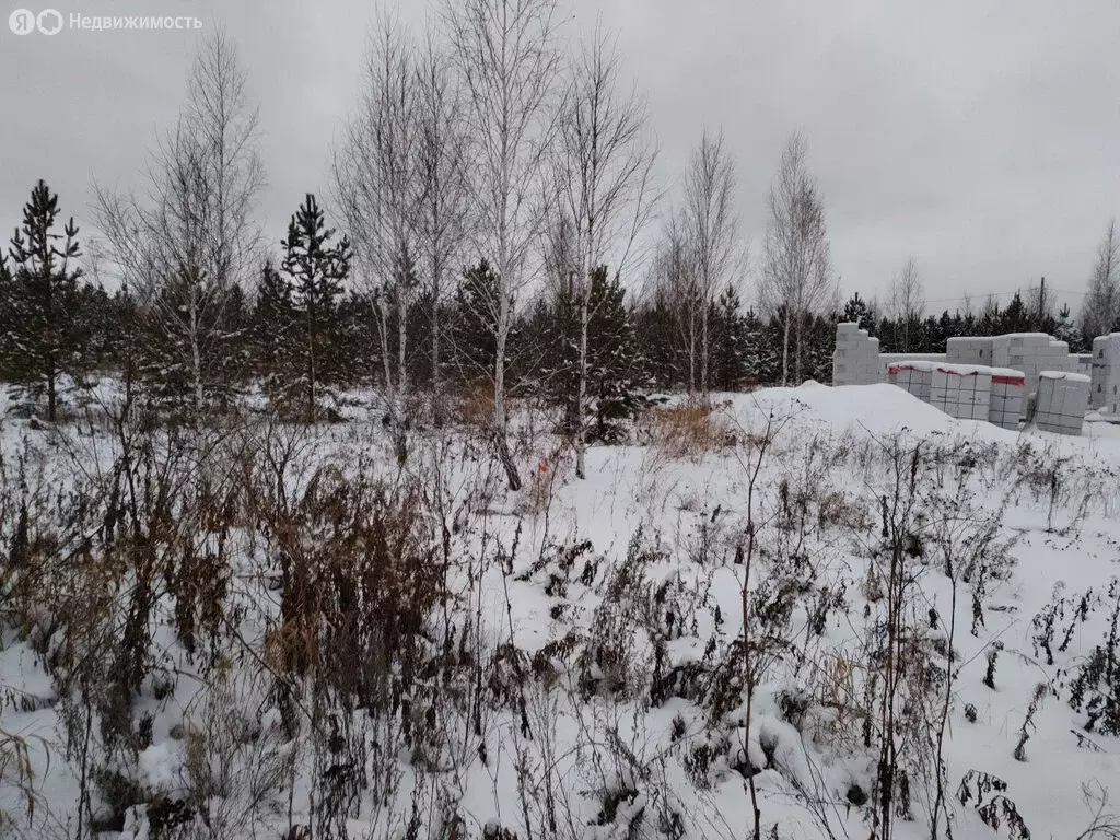 Участок в Свердловская область, Екатеринбург (7 м) - Фото 0