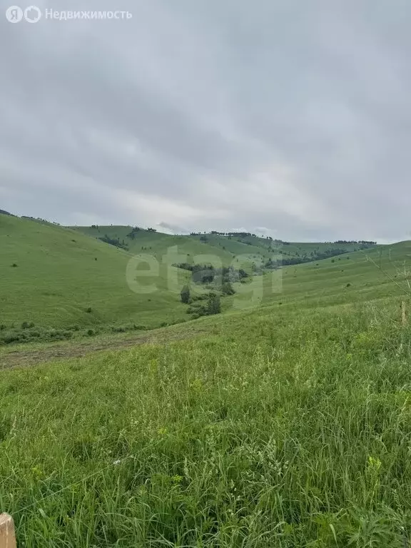 Участок в Алтайский район, ДНТ Жемчужина Алтая (8.75 м) - Фото 2