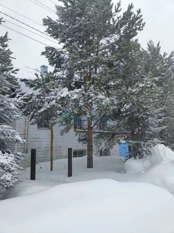 Коттедж в Нижегородская область, Нижний Новгород д. Ройка, 280 (268 м) - Фото 1