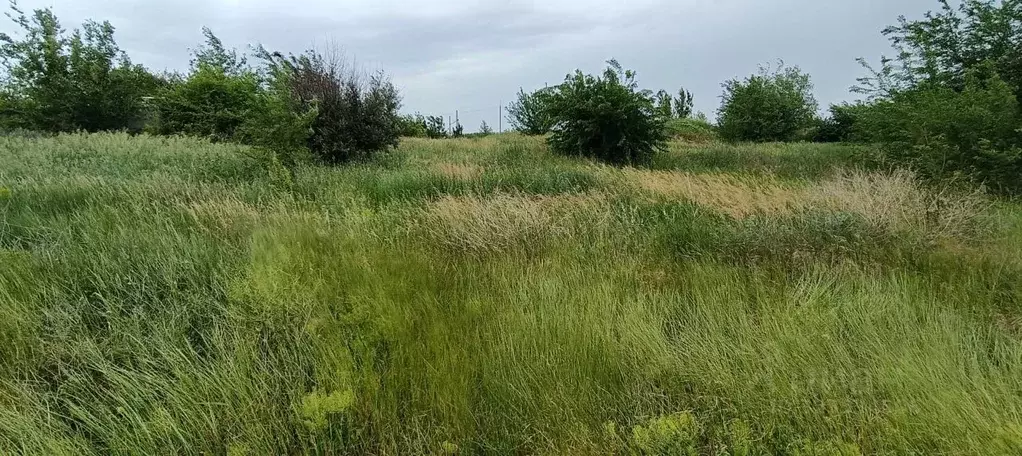 Участок в Ростовская область, Аксайский район, Щепкинское с/пос, пос. ... - Фото 0