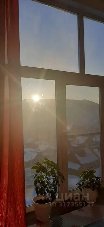 Дом в Алтай, Горно-Алтайск ул. Некрасова, 1 (100 м) - Фото 1