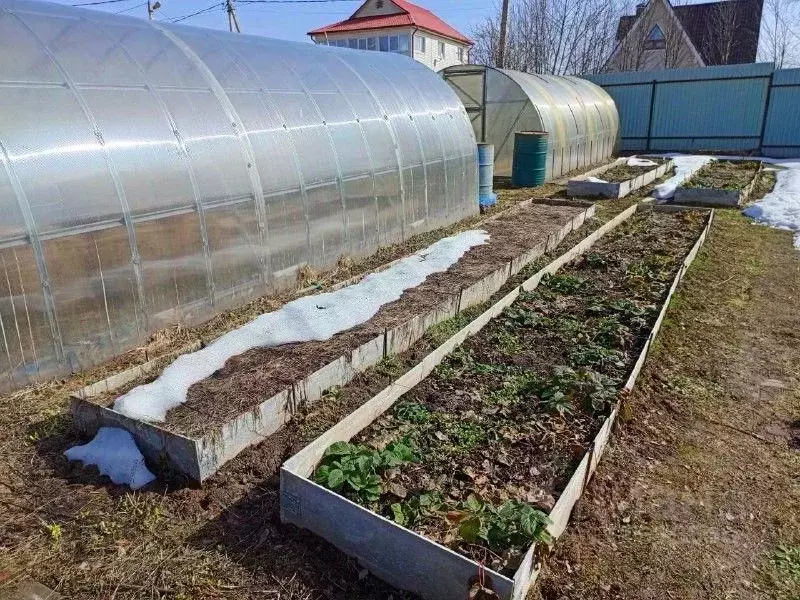 Участок в Московская область, Солнечногорск городской округ, д. ... - Фото 1