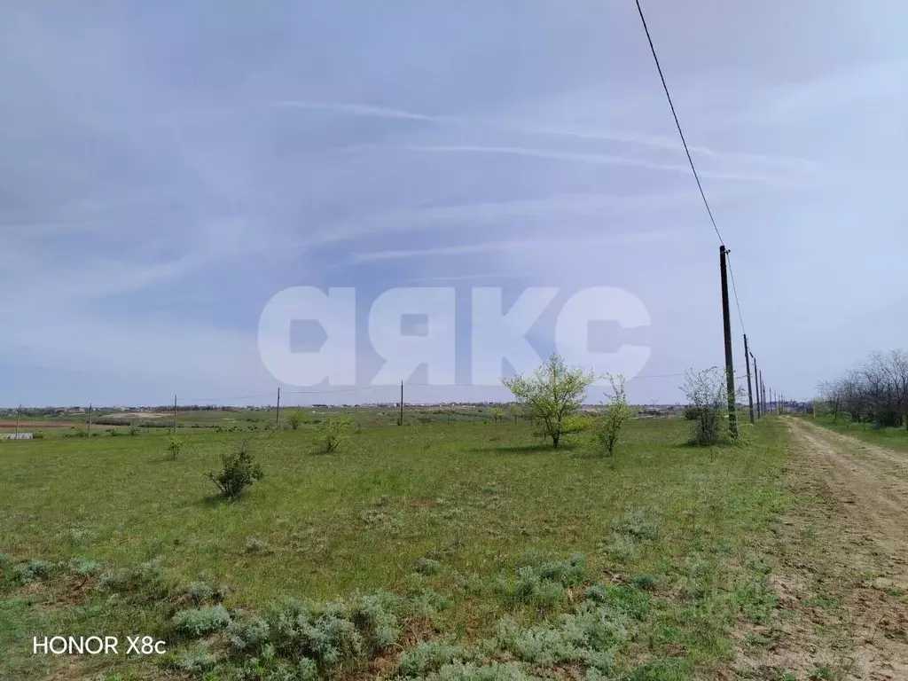 Участок в Волгоградская область, Городищенский район, Царицынское ... - Фото 2