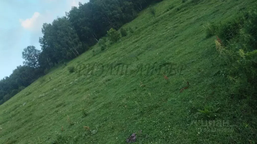Участок в Алтай, Майминский район, с. Бирюля Центральная ул. (14.0 ... - Фото 0