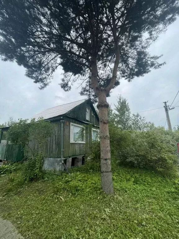 Дом в Московская область, Волоколамский муниципальный округ, Вита СНТ ... - Фото 2