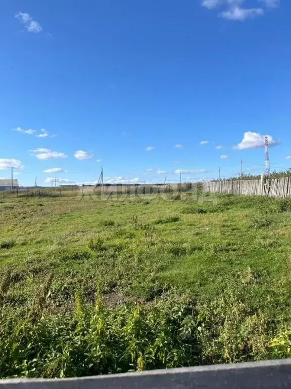 Участок в Новосибирская область, Колыванский район, д. Большой Оеш ул. ... - Фото 1