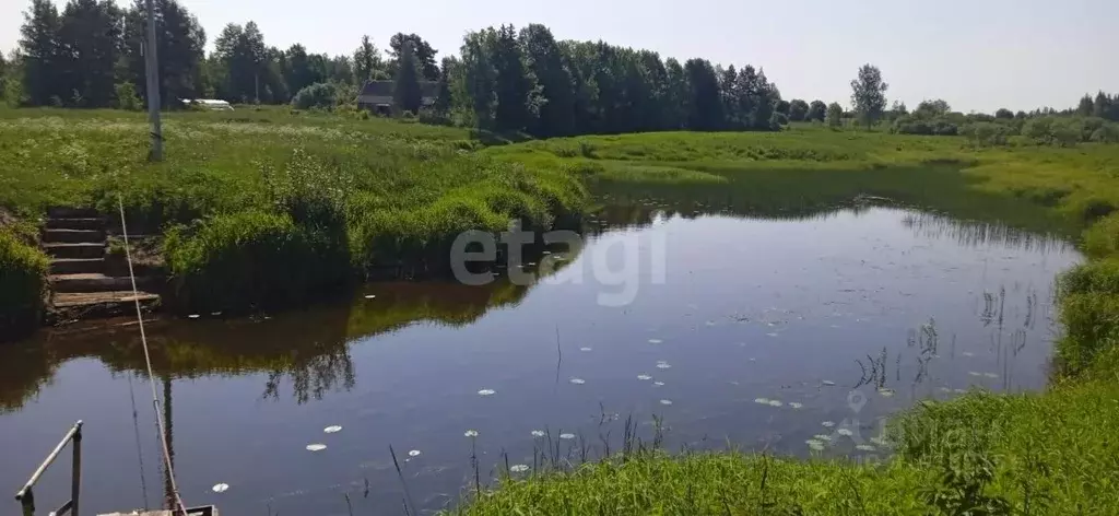 Дом в Псковская область, Пыталовский муниципальный округ, д. Магиново  ... - Фото 1