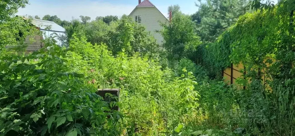 Участок в Московская область, Люберцы СНТ Зеленая Зона тер., 652 (4.19 ... - Фото 2