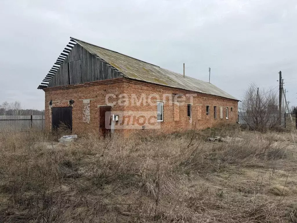 Помещение свободного назначения в Челябинская область, Еткульский ... - Фото 2