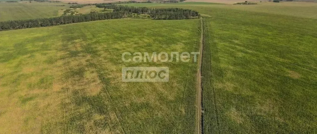 Участок в Московская область, Серебряные Пруды пгт пл. Советская (7.05 ... - Фото 2