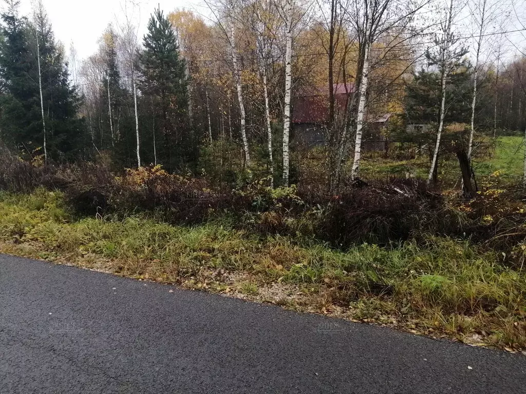 Участок в Калужская область, Ферзиковский муниципальный округ, ... - Фото 1