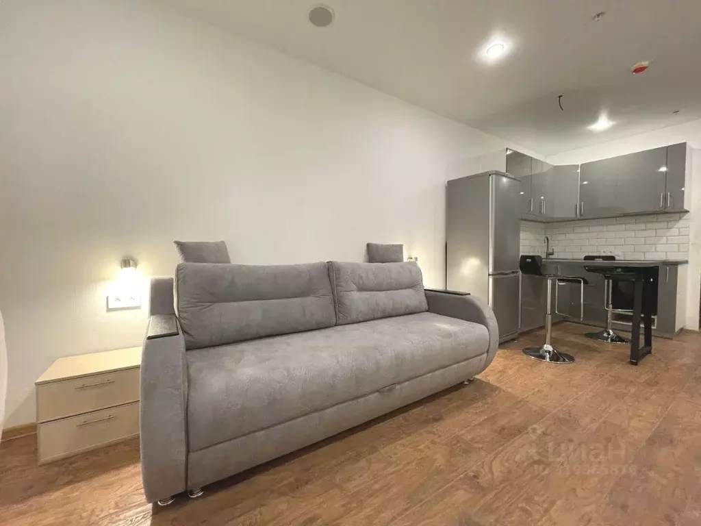 Студия Санкт-Петербург 2-й Муринский просп., 36 (28.2 м) - Фото 1