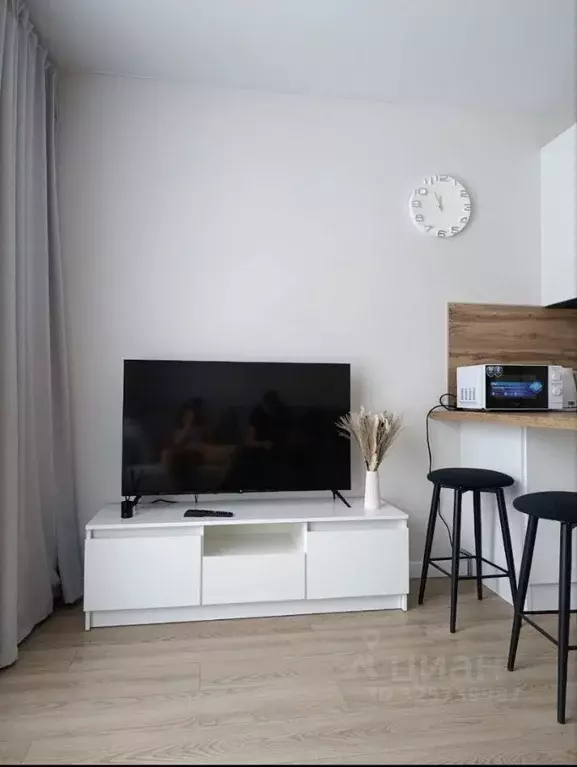 Студия Московская область, Красногорск городской округ, пос. ... - Фото 2