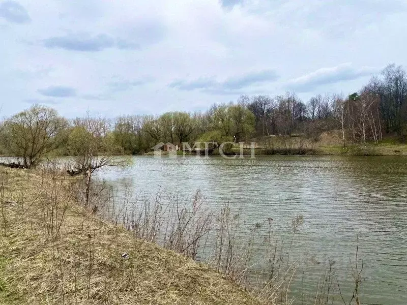 Участок в Московская область, Ленинский городской округ, Горки ... - Фото 1