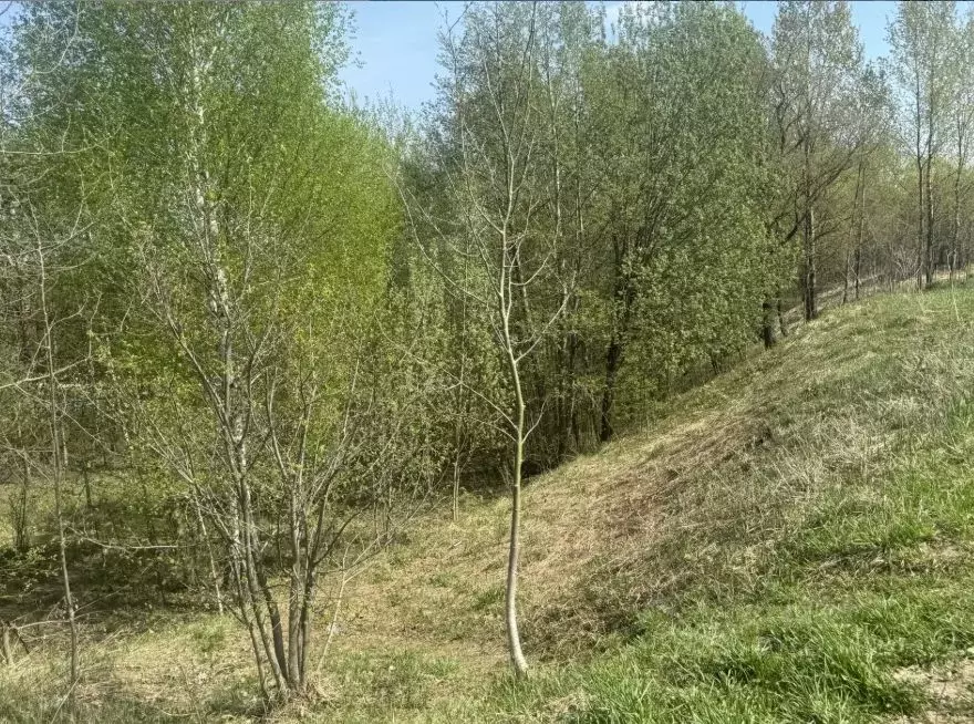 Участок в Московская область, Подольск городской округ, д. Бяконтово  ... - Фото 1