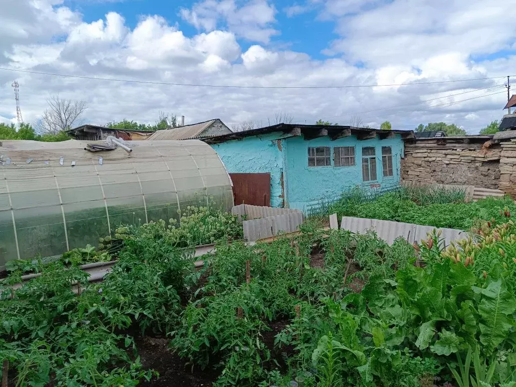 Дом в Оренбургская область, с. Шарлык ул. Луначарского, 65 (65 м) - Фото 1