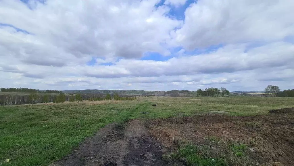 Участок в Кемеровская область, Прокопьевский район, пос. Калачево  ... - Фото 0