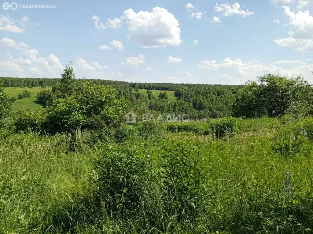 Участок в Пензенский район, Алферьевский сельсовет, село Казеевка (6 ... - Фото 0