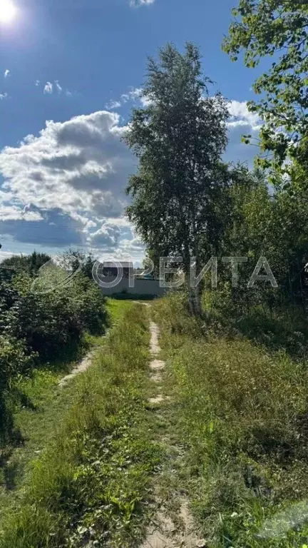 Участок в Тюменская область, Нижнетавдинский район, Сундукуль СНТ  ... - Фото 0