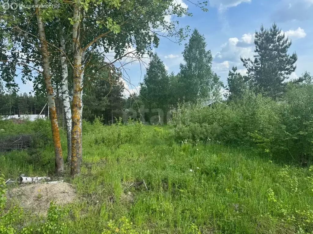 Участок в Раменское, Фестивальная улица (6 м) - Фото 1