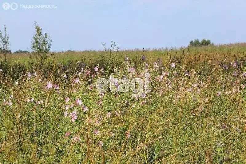 Участок в Тульская область, рабочий посёлок Одоев, 4-я Дачная улица ... - Фото 1