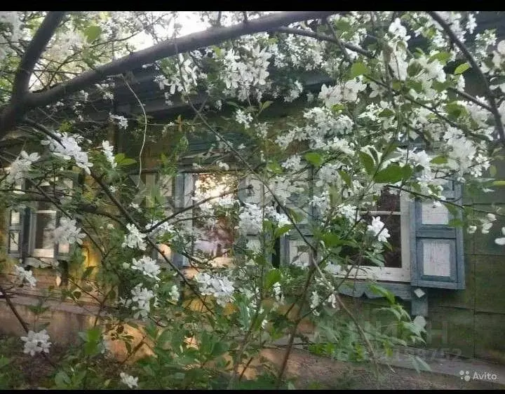 Дом в Новосибирская область, Искитим Линейная ул. (42 м) - Фото 1