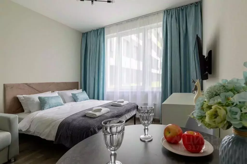 1-к кв. Санкт-Петербург Витебский просп., 99к1 (20.0 м) - Фото 0