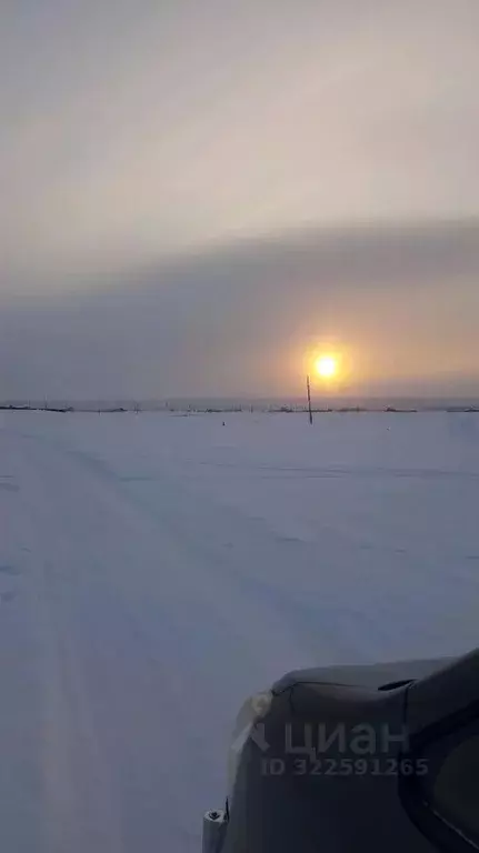 Участок в Саха (Якутия), Якутск ул. Семена Данилова, 4/2 (10.0 сот.) - Фото 2