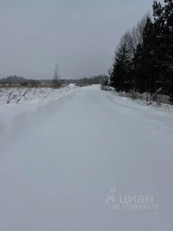 Участок в Московская область, Талдомский городской округ, д. Мякишево  ... - Фото 1