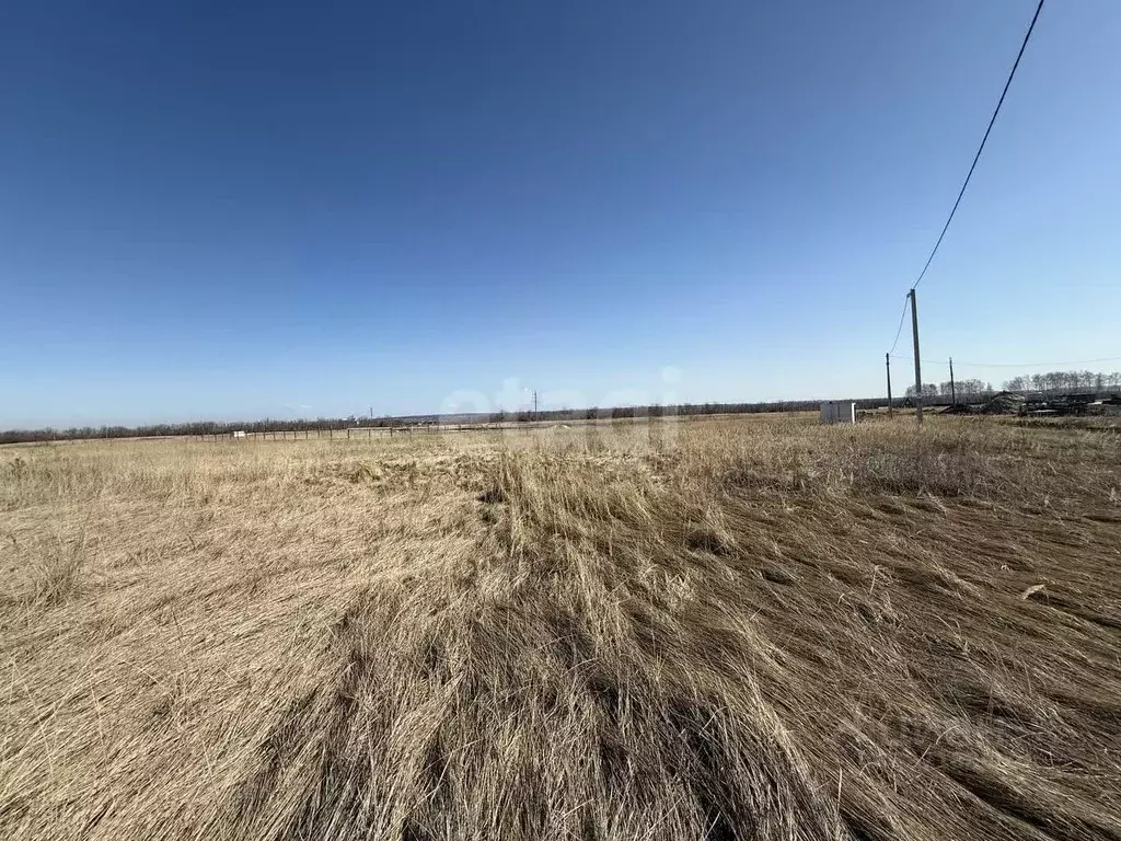 Участок в Ульяновская область, Ульяновск городской округ, с. Луговое ... - Фото 1