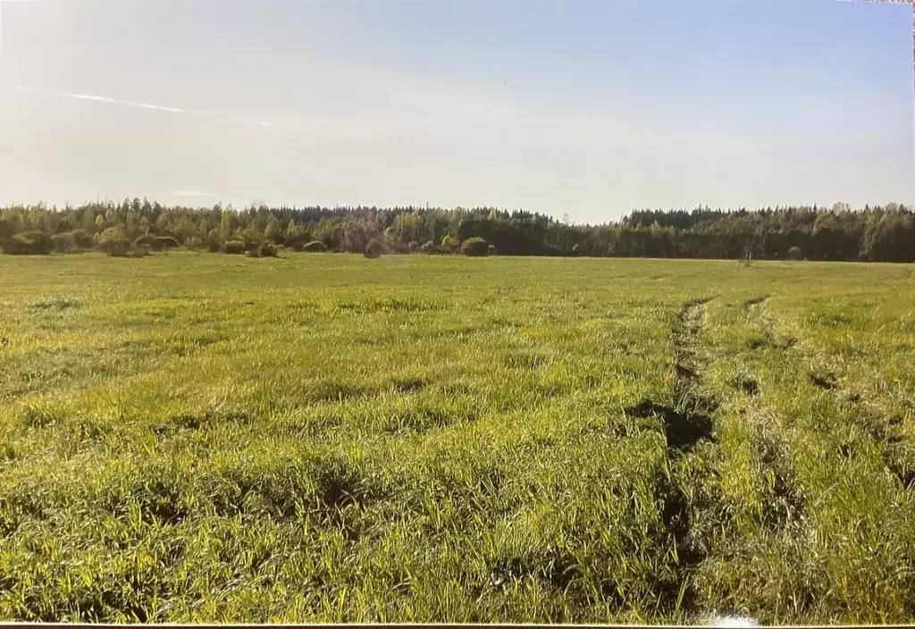 Участок в Ленинградская область, Выборгский район, Приморское ... - Фото 1